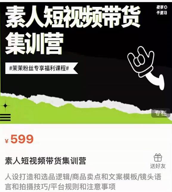 夜草与千里马素人短视频带货集训营,薛辉团队价值599-风淘社