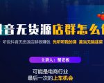 蟹老板·抖音无货源店群怎么做,吊打市面一大片《抖音无货源店群》的课程-风淘社