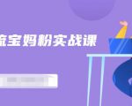 百度贴吧引流宝妈粉实战课,小白也可以日引100+精准粉-风淘社