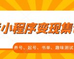 抖音小程序变现集训课，养号、起号、书单、趣味测试、视频剪辑，全套流程-风淘社