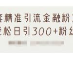1套精准引流金融粉方法,轻松日引300+粉丝-风淘社