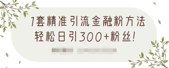 1套精准引流金融粉方法,轻松日引300+粉丝-风淘社