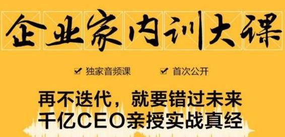 企业家内训大课,未来企业必学经验,价值1299元-风淘社