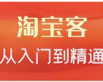卓让·淘宝客从入门到精通,教你做一个赚钱的淘宝客-风淘社