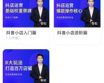 湛北·抖音小店入门进阶高阶合集,八大玩法打造百万店铺-风淘社