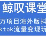 鲸叹号·海外TIKTOK训练营,百万项目海外版抖音tiktok流量变现玩法-风淘社