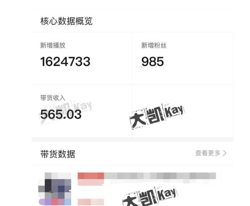 大凯进阶圈新玩法之拼多多视频玩法,利润大概一个号一天能有500~1500的左右!-风淘社