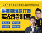 玺承云·拼多多爆款打造实战特训营,一套从入门到高手课程,让你快速拿捏拼多多-风淘社