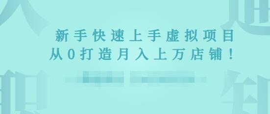 2022年虚拟项目实战指南,新手从0打造月入上万店铺-风淘社