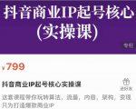 抖音商业IP起号核心实操课,带你玩转算法,流量,内容,架构,变现-风淘社
