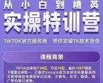 Seven漆·2022Tiktok从小白到精英实操特训营,带你掌握Tiktok账号运营-风淘社
