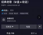 抖音音乐号+无人直播+u盘带货,教你如何通过抖音赚钱-风淘社