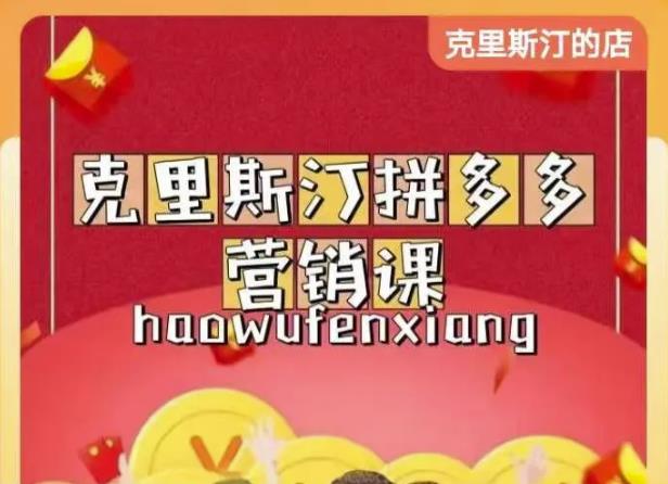 克里斯汀拼多多运营课，适合小白初涉平台，低成本入门-风淘社