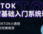 Tiktok实操进阶课程,体验从tiktok小透明到大佬的完美蜕变-风淘社
