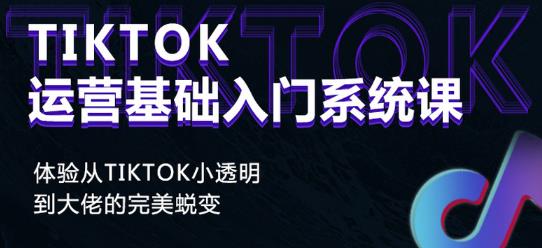 Tiktok实操进阶课程,体验从tiktok小透明到大佬的完美蜕变-风淘社