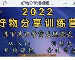 萌飞好物·2022抖音好物分享训练营,当下风口带货变现模式,从入门到精通-风淘社