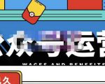 零零已久·从0-1运营公众号，零基础小白也能上手，系统性了解公众号运营-风淘社