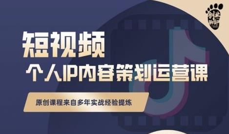 抖音短视频个人ip内容策划实操课,真正做到普通人也能实行落地-风淘社