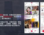 麦子互娱短视频带货·0基础做好物分享账号，无需出镜无需货源无需拍摄-风淘社