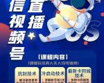 梅花实验室·微信视频号无人直播第3期+第5期,视频号带货权限0粉价值1180元-风淘社