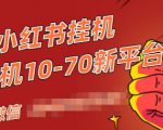 视频号小红书抖音挂机项目，小白无脑操作，按照要求来，单号每天几十米-风淘社