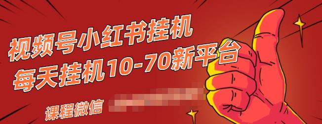 视频号小红书抖音挂机项目,小白无脑操作,按照要求来,单号每天几十米-风淘社