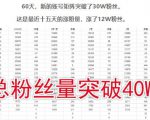 倪叶明·蓝海公众号矩阵项目训练营,0粉冷启动,公众号矩阵账号粉丝突破30w-风淘社