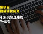 虚拟图集项目：矩阵站群自动化成交，3-5个月实现快速赚钱月入1W+左右-风淘社