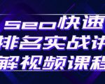 seo快速排名实战讲解视频课程，揭秘seo快排原理-风淘社