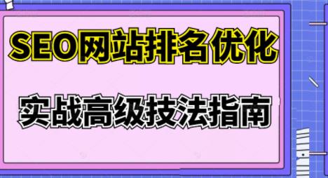 樊天华·SEO网站排名优化实战高级技法指南,让客户找到你-风淘社