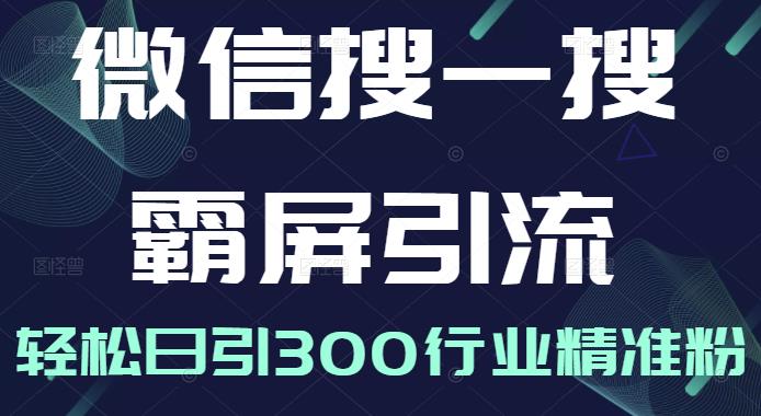 微信搜一搜霸屏引流课,打造被动精准引流系统,轻松日引300行业精准粉-风淘社