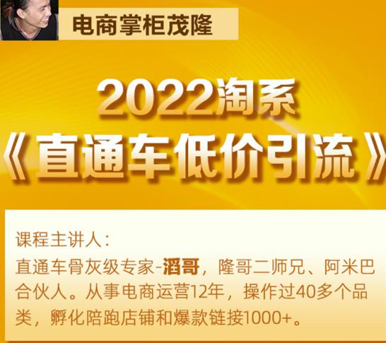 茂隆2022直通车低价引流玩法,教大家如何低投入高回报的直通车玩法-风淘社