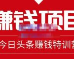 懒人领域·今日头条项目玩法,头条中视频项目,单号收益在50—500可批量-风淘社