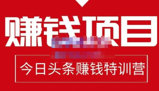 懒人领域·今日头条项目玩法,头条中视频项目,单号收益在50—500可批量-风淘社