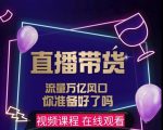 【及至专享】DY赋能系统星课程,流量万亿风口,你准备好了吗-风淘社