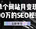 单个网站月变现100万的SEO秘密,百分百做出赚钱站点-风淘社