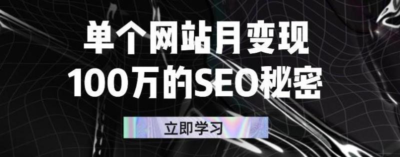 单个网站月变现100万的SEO秘密,百分百做出赚钱站点-风淘社