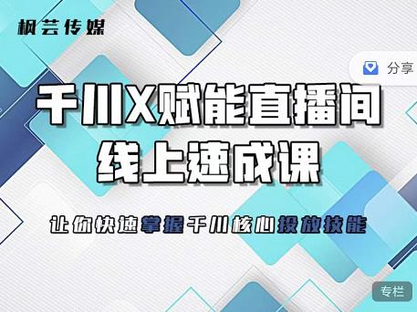 枫芸传媒-线上千川提升课，提升千川认知，提升千川投放效果-风淘社