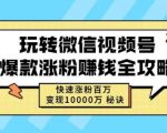 玩转微信视频号爆款涨粉赚钱全攻略，快速涨粉百万变现万元秘诀-风淘社