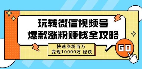 玩转微信视频号爆款涨粉赚钱全攻略,快速涨粉百万变现万元秘诀-风淘社