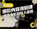 【毒舌电影合伙人亲授】抖音爆款内容涨粉课，5000万抖音大号首次披露涨粉机密-风淘社