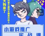 大狗来了:小游戏推广实战课,带你搭建一个游戏推广变现账号-风淘社