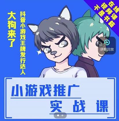 大狗来了:小游戏推广实战课,带你搭建一个游戏推广变现账号-风淘社