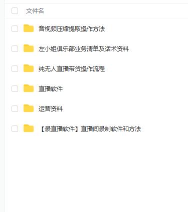 左小姐-直播带货俱乐部十三行、无人直播，全套教程附：工具、文档、话术资料-风淘社