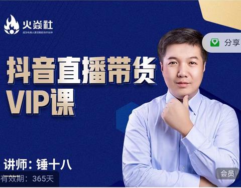 锤十八-抖音直播带货VIP课,专注直播带货有效盈利模式-风淘社