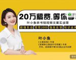 叶小鱼21天短视频文案拆书营,学完轻松搞定各类书单短视频文案-风淘社