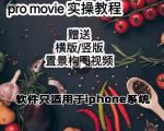 漆十二美食摄影，25​节promovie实操高手课节-风淘社