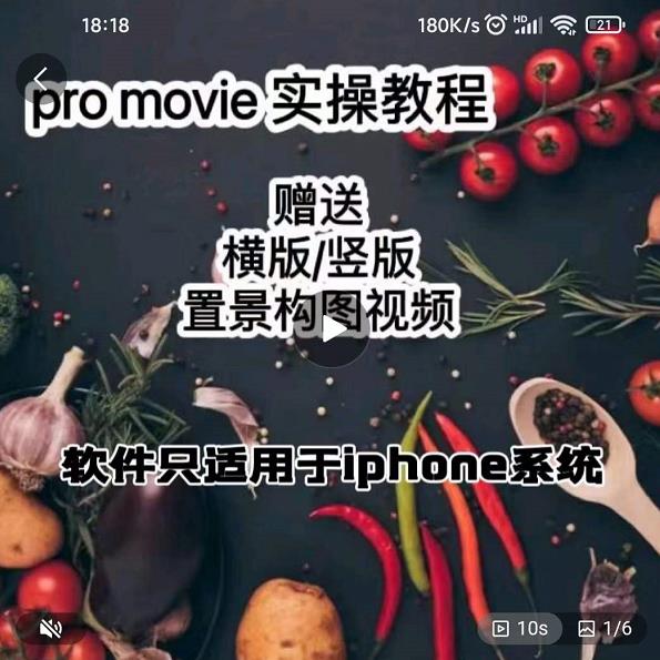 漆十二美食摄影,25节promovie实操高手课节-风淘社
