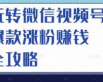 玩转微信视频号爆款涨粉赚钱全攻略,让你快速抓住流量风口,收获红利财富-风淘社
