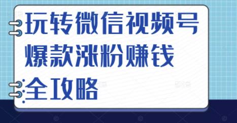 玩转微信视频号爆款涨粉赚钱全攻略,让你快速抓住流量风口,收获红利财富-风淘社